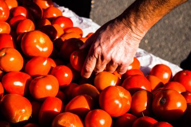 Limasol, Kıbrıs - 11 Aralık 2021 'de Limasol' daki Coronavirus salgını sırasında sebzeler satıldı, maske takmak zorunludur