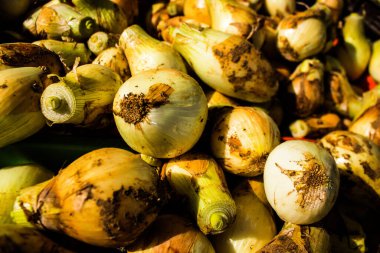 Limasol, Kıbrıs - 11 Aralık 2021 'de Limasol' daki Coronavirus salgını sırasında sebzeler satıldı, maske takmak zorunludur