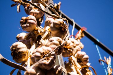 Limasol, Kıbrıs - 11 Aralık 2021 'de Limasol' daki Coronavirus salgını sırasında sebzeler satıldı, maske takmak zorunludur