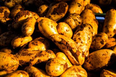 Limasol, Kıbrıs - 11 Aralık 2021 'de Limasol' daki Coronavirus salgını sırasında sebzeler satıldı, maske takmak zorunludur