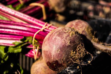 Limasol, Kıbrıs - 11 Aralık 2021 'de Limasol' daki Coronavirus salgını sırasında sebzeler satıldı, maske takmak zorunludur