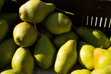 Limasol, Kıbrıs - 11 Aralık 2021 'de Kıbrıs Rum Kesimi' nde meydana gelen koronavirüs salgını sırasında Limasol 'daki pazarda satılan meyveler maske takmak zorunludur.