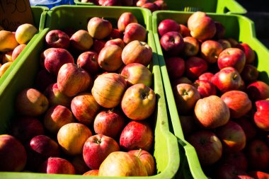 Limasol, Kıbrıs - 11 Aralık 2021 'de Kıbrıs Rum Kesimi' nde meydana gelen koronavirüs salgını sırasında Limasol 'daki pazarda satılan meyveler maske takmak zorunludur.
