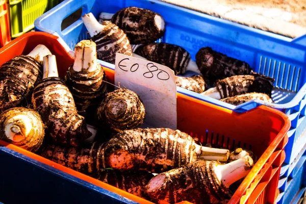 Лимассол Кипр Декабря 2021 Года Овощи Продаются Субботнем Рынке Лимассоле — стоковое фото