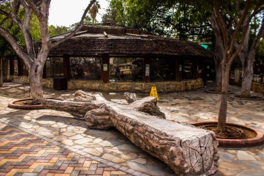 Limasol, Kıbrıs - 12 Aralık 2021 Limasol Hayvanat Bahçesi, Avrupa 'nın en büyük hayvanat bahçelerinden biri ve güzel ve ilginç hayvanlara ev sahipliği yapar.