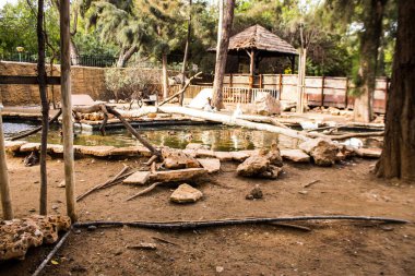 Limasol, Kıbrıs - 12 Aralık 2021 Limasol Hayvanat Bahçesi, Avrupa 'nın en büyük hayvanat bahçelerinden biri ve güzel ve ilginç hayvanlara ev sahipliği yapar.