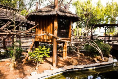 Limasol, Kıbrıs - 12 Aralık 2021 Limasol Hayvanat Bahçesi, Avrupa 'nın en büyük hayvanat bahçelerinden biri ve güzel ve ilginç hayvanlara ev sahipliği yapar.