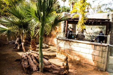 Limasol, Kıbrıs - 12 Aralık 2021 Limasol Hayvanat Bahçesi, Avrupa 'nın en büyük hayvanat bahçelerinden biri ve güzel ve ilginç hayvanlara ev sahipliği yapar.