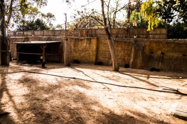 Limasol, Kıbrıs - 12 Aralık 2021 Limasol Hayvanat Bahçesi, Avrupa 'nın en büyük hayvanat bahçelerinden biri ve güzel ve ilginç hayvanlara ev sahipliği yapar.