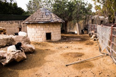 Limasol, Kıbrıs - 12 Aralık 2021 Limasol Hayvanat Bahçesi, Avrupa 'nın en büyük hayvanat bahçelerinden biri ve güzel ve ilginç hayvanlara ev sahipliği yapar.