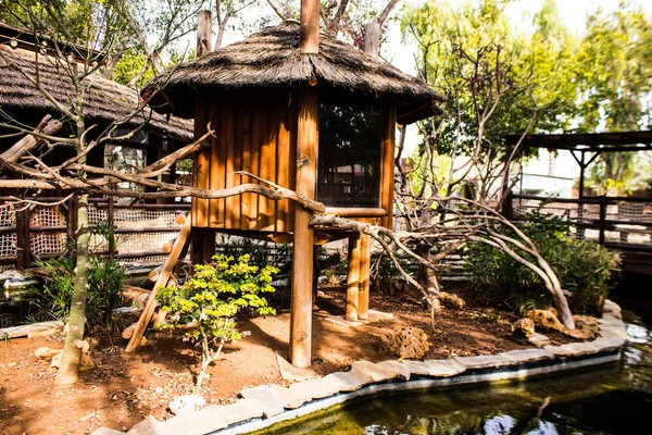 Limasol, Kıbrıs - 12 Aralık 2021 Limasol Hayvanat Bahçesi, Avrupa 'nın en büyük hayvanat bahçelerinden biri ve güzel ve ilginç hayvanlara ev sahipliği yapar.