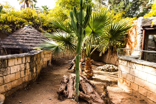 Limasol, Kıbrıs - 12 Aralık 2021 Limasol Hayvanat Bahçesi, Avrupa 'nın en büyük hayvanat bahçelerinden biri ve güzel ve ilginç hayvanlara ev sahipliği yapar.