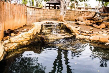 Limasol, Kıbrıs - 12 Aralık 2021 Limasol Hayvanat Bahçesi, Avrupa 'nın en büyük hayvanat bahçelerinden biri ve güzel ve ilginç hayvanlara ev sahipliği yapar.