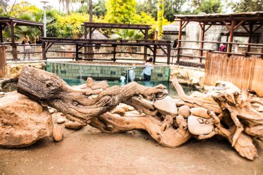 Limasol, Kıbrıs - 12 Aralık 2021 Limasol Hayvanat Bahçesi, Avrupa 'nın en büyük hayvanat bahçelerinden biri ve güzel ve ilginç hayvanlara ev sahipliği yapar.