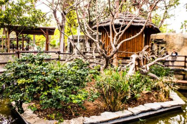 Limasol, Kıbrıs - 12 Aralık 2021 Limasol Hayvanat Bahçesi, Avrupa 'nın en büyük hayvanat bahçelerinden biri ve güzel ve ilginç hayvanlara ev sahipliği yapar.