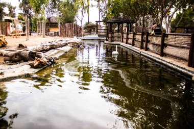 Limasol, Kıbrıs - 12 Aralık 2021 Limasol Hayvanat Bahçesi, Avrupa 'nın en büyük hayvanat bahçelerinden biri ve güzel ve ilginç hayvanlara ev sahipliği yapar.