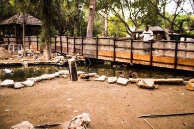 Limasol, Kıbrıs - 12 Aralık 2021 Limasol Hayvanat Bahçesi, Avrupa 'nın en büyük hayvanat bahçelerinden biri ve güzel ve ilginç hayvanlara ev sahipliği yapar.