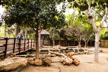 Limasol, Kıbrıs - 12 Aralık 2021 Limasol Hayvanat Bahçesi, Avrupa 'nın en büyük hayvanat bahçelerinden biri ve güzel ve ilginç hayvanlara ev sahipliği yapar.