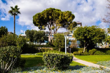 Limasol, Kıbrıs - 22 Aralık 2021 Kıbrıs Rum Kesimi 'nin göbeğindeki şehir merkezi, binaların mimarisi ve modern şehrin caddeleri
