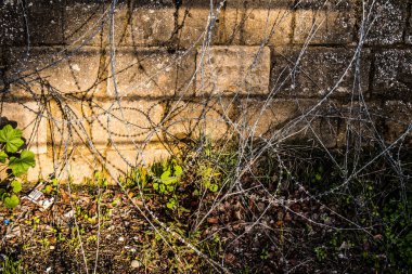 Lefkoşe, Kıbrıs - Kıbrıs Rum Kesimi 'nin koronavirüs salgını sırasında bölünmüş Lefkoşe kentindeki Birleşmiş Milletler Barış Gücü tarafından kontrol edilen 25 Aralık 2021