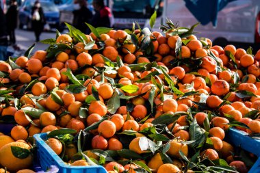 Famagusta, Kuzey Kıbrıs Türk Cumhuriyeti - 13 Ocak 2022 Tipik Kıbrıs pazarı, canlı, koku ve yaşam dolu. Taze ürünler, sebzeler, baharatlar, fındıklar, çeşitli tezgahlardaki balıklar.