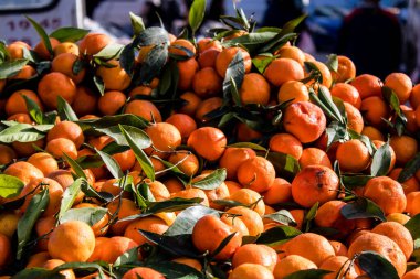 Famagusta, Kuzey Kıbrıs Türk Cumhuriyeti - 13 Ocak 2022 Tipik Kıbrıs pazarı, canlı, koku ve yaşam dolu. Taze ürünler, sebzeler, baharatlar, fındıklar, çeşitli tezgahlardaki balıklar.