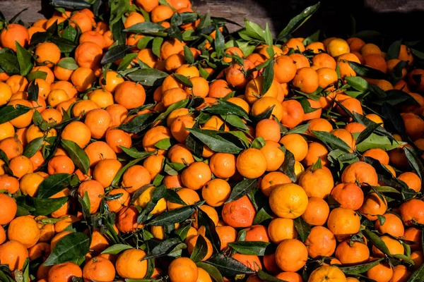 Famagusta Turkish Republic Northern Cyprus January 2022 Typical Cypriot Market — Stock Photo, Image