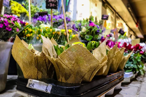 Tel Aviv Israele Febbraio 2022 Fiori Fiore Venduti Strade Tel — Foto Stock