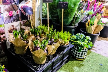 Tel Aviv, İsrail - 5 Şubat 2022 Çiçekler Tel Aviv sokaklarında satıldı İsrail 'in en büyük ikinci şehri