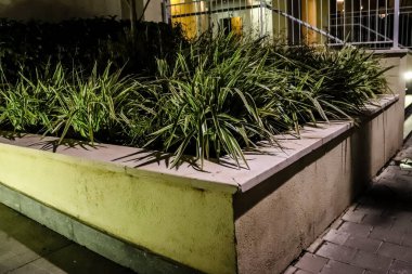 Tel Aviv, İsrail - 5 Şubat 2022 Tel Aviv 'in metropol bölgesinin şehir merkezi İsrail' in en büyük ikinci şehri