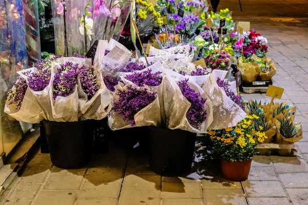 Tel Aviv Israel Fevereiro 2022 Flores Flor Vendidas Nas Ruas — Fotografia de Stock