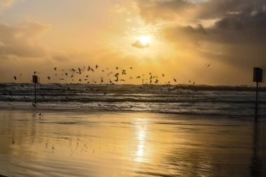 Tel Aviv, İsrail - 3 Mart 2022 Tel Aviv tesisleri ve ana plaj manzarası İsrail kıyılarını etkileyen kış fırtınaları sırasında tamamen ıssız