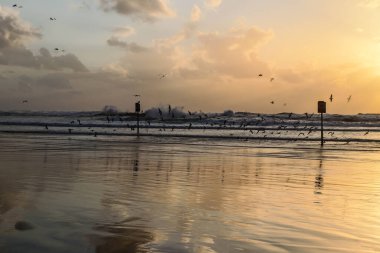 Tel Aviv, İsrail - 3 Mart 2022 Tel Aviv tesisleri ve ana plaj manzarası İsrail kıyılarını etkileyen kış fırtınaları sırasında tamamen ıssız