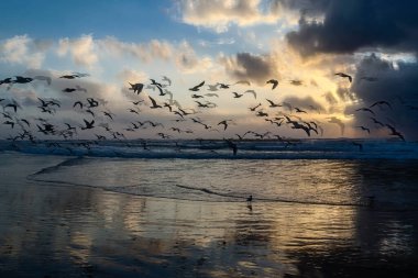 Tel Aviv, İsrail - 3 Mart 2022 Tel Aviv tesisleri ve ana plaj manzarası İsrail kıyılarını etkileyen kış fırtınaları sırasında tamamen ıssız