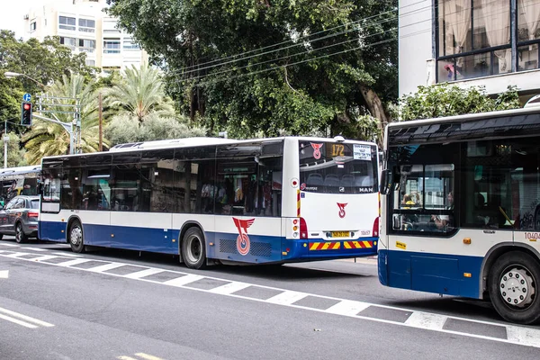 Τελ Αβίβ Ισραήλ Μαρτίου 2022 Ισραηλινό Δημόσιο Λεωφορείο Που Διασχίζει — Φωτογραφία Αρχείου