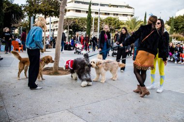 Tel Aviv, İsrail - 18 Mart 2022 Dizengoff Meydanı 'ndaki İsrail halkı, Mart ayında İsrail' de düzenlenen Purim karnavalı kutlaması için kostüm giymişti.