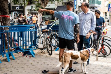 Tel Aviv, İsrail - 8 Nisan 2022 Dizengoff Caddesi 'ndeki Ilka Bar' a yapılan terörist saldırının ardından gazeteciler dün gece yaşananları bildiriyor.
