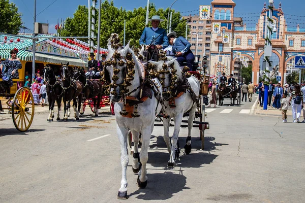 Seville, İspanya - 1 Mayıs 2022 Sevillianlar geleneksel Endülüs tarzında giyinmiş bir at arabasıyla İspanya 'nın en ünlü festivali olan Feria de Sevilla' nın koridorlarında dolaşıyorlar.