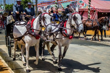 Seville, İspanya - 1 Mayıs 2022 Sevillianlar geleneksel Endülüs tarzında giyinmiş bir at arabasıyla İspanya 'nın en ünlü festivali olan Feria de Sevilla' nın koridorlarında dolaşıyorlar.