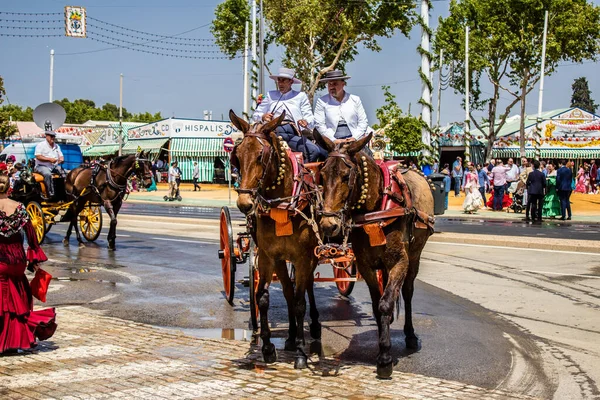 Seville, İspanya - 1 Mayıs 2022 Sevillianlar geleneksel Endülüs tarzında giyinmiş bir at arabasıyla İspanya 'nın en ünlü festivali olan Feria de Sevilla' nın koridorlarında dolaşıyorlar.