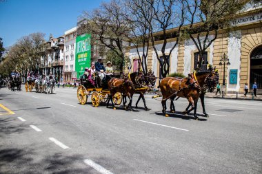 Seville, İspanya... 1 Mayıs 2022 Sevilla 'lılar geleneksel Endülüs tarzında giyinip Seville sokaklarında at arabasıyla geziyorlar.