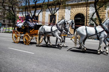 Seville, Spain- May 01, 2022 Sevillians dressed in traditional Andalusian way riding in a carriage with horses through the streets of Seville, celebration  back after two years of absence due to covid