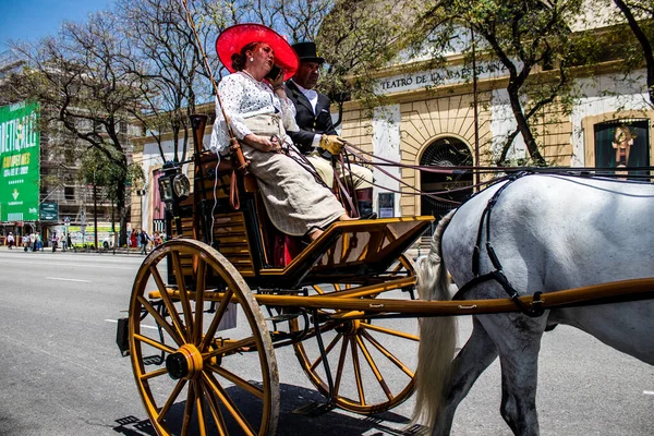 Seville, İspanya... 1 Mayıs 2022 Sevilla 'lılar geleneksel Endülüs tarzında giyinip Seville sokaklarında at arabasıyla geziyorlar.