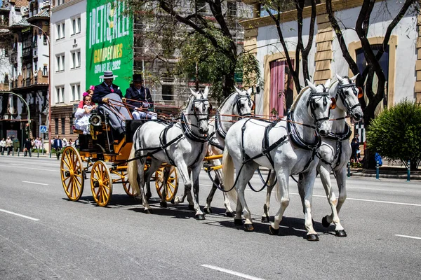 Seville, İspanya... 1 Mayıs 2022 Sevilla 'lılar geleneksel Endülüs tarzında giyinip Seville sokaklarında at arabasıyla geziyorlar.