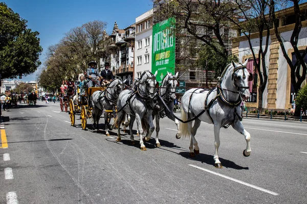 Seville, İspanya... 1 Mayıs 2022 Sevilla 'lılar geleneksel Endülüs tarzında giyinip Seville sokaklarında at arabasıyla geziyorlar.