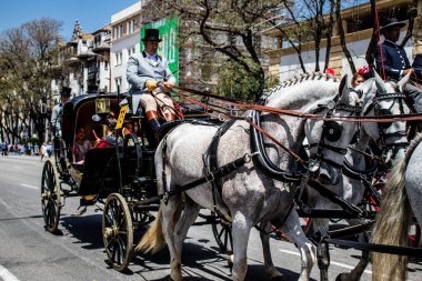 Seville, İspanya... 1 Mayıs 2022 Sevilla 'lılar geleneksel Endülüs tarzında giyinip Seville sokaklarında at arabasıyla geziyorlar.