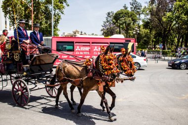 Seville, İspanya... 1 Mayıs 2022 Sevilla 'lılar geleneksel Endülüs tarzında giyinip Seville sokaklarında at arabasıyla geziyorlar.