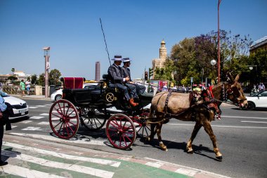 Seville, İspanya - 01 Mayıs 2022 at arabası sürücüsü İspanya 'nın en ünlü festivali Feria de Sevilla' da geçit töreni yapıyor.
