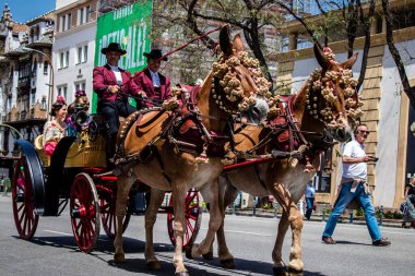 Seville, İspanya - 01 Mayıs 2022 at arabası sürücüsü İspanya 'nın en ünlü festivali Feria de Sevilla' da geçit töreni yapıyor.