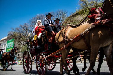 Seville, İspanya - 01 Mayıs 2022 at arabası sürücüsü İspanya 'nın en ünlü festivali Feria de Sevilla' da geçit töreni yapıyor.